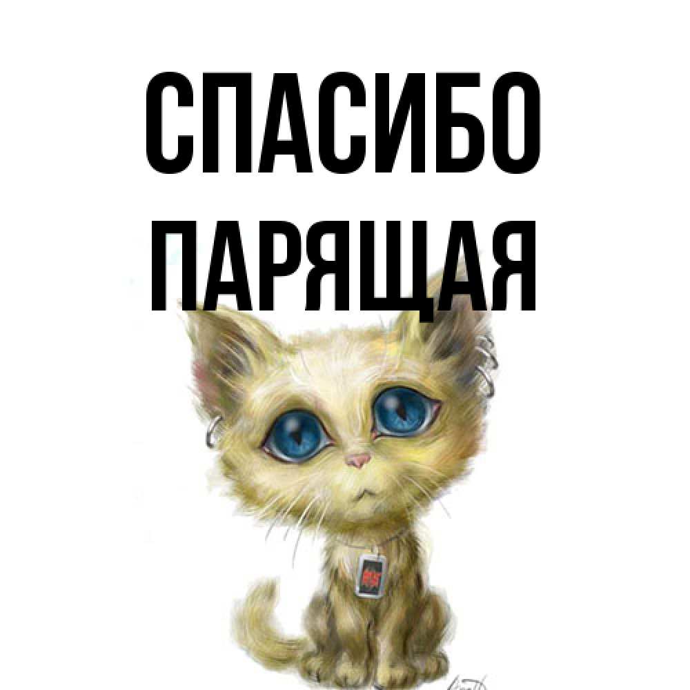 Открытка на каждый день с именем, Парящая Спасибо рисованный кот благодарит вас Прикольная открытка с пожеланием онлайн скачать бесплатно 