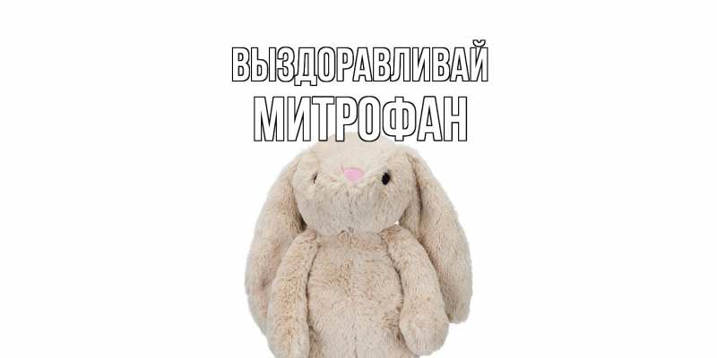 Картинка Выздоравливай, Митрофан