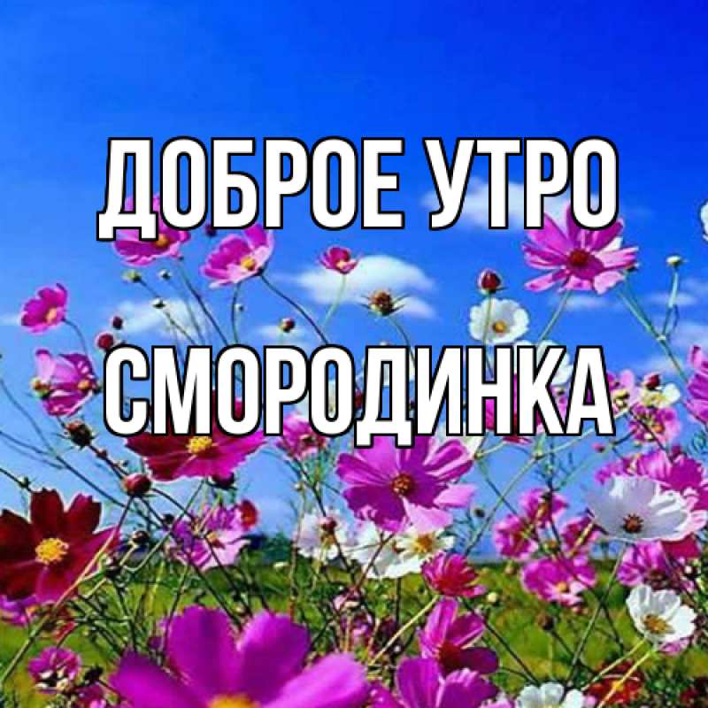 Картинка Доброе утро, смородинка