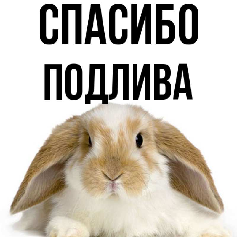 Картинка Спасибо, Подлива