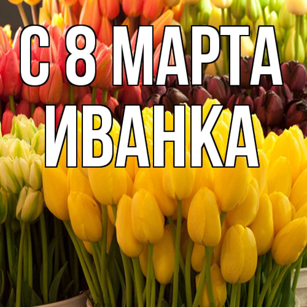 Открытка на каждый день с именем, Иванка C 8 МАРТА цветы Прикольная открытка с пожеланием онлайн скачать бесплатно 