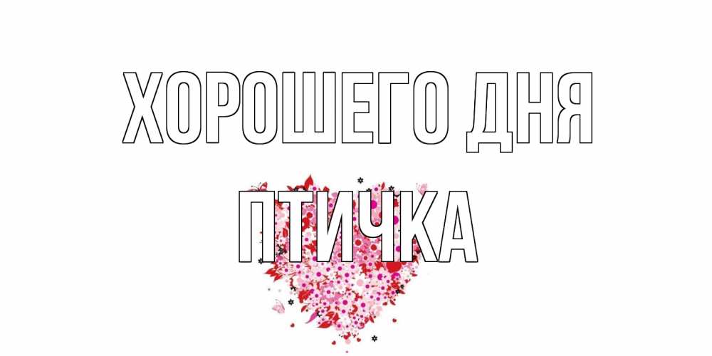 Открытка на каждый день с именем, Птичка Хорошего дня открытка на каждый день для любимой Прикольная открытка с пожеланием онлайн скачать бесплатно 
