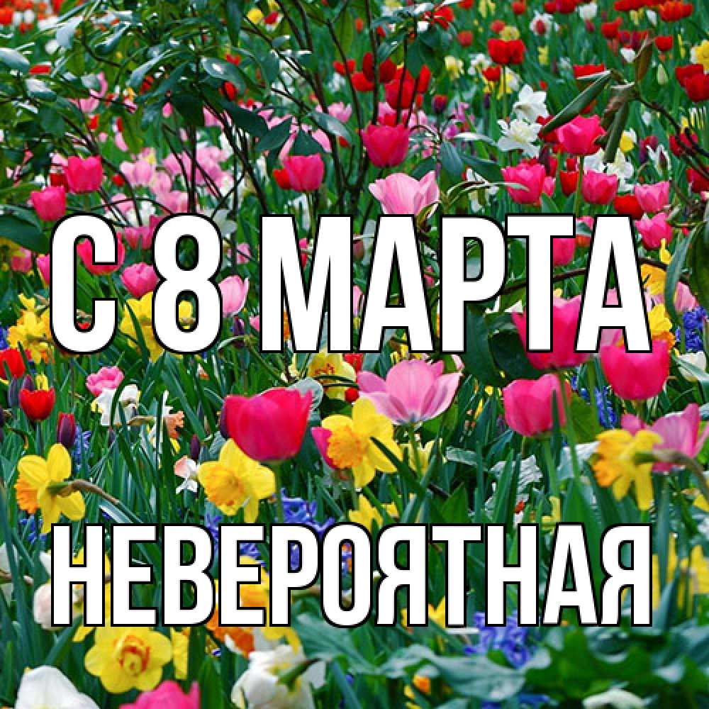 Открытка на каждый день с именем, невероятная C 8 МАРТА с международным женским днем поздравления для женщины Прикольная открытка с пожеланием онлайн скачать бесплатно 