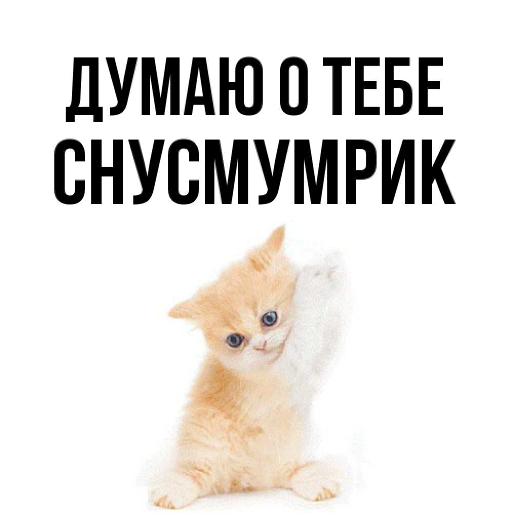 Открытка на каждый день с именем, Снусмумрик Думаю о тебе зверушки и милота Прикольная открытка с пожеланием онлайн скачать бесплатно 