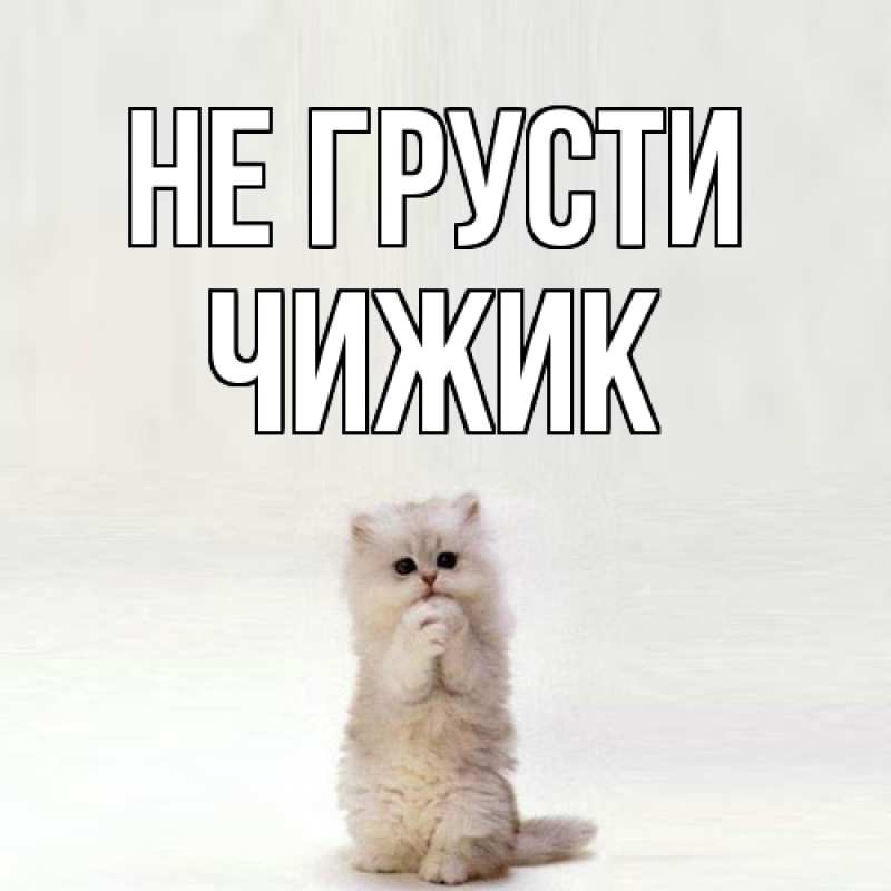 Картинка Не грусти, Чижик