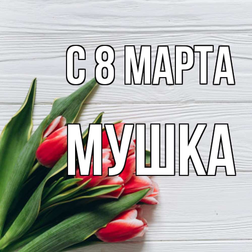 Открытка на каждый день с именем, мушка C 8 МАРТА весна 2 Прикольная открытка с пожеланием онлайн скачать бесплатно 