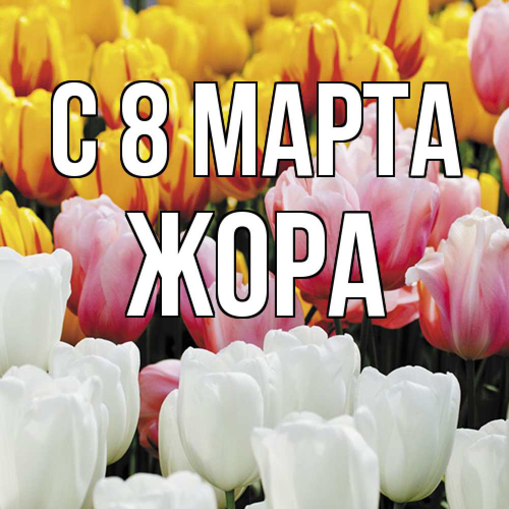 Открытка на каждый день с именем, Жора C 8 МАРТА разноцветные цветы Прикольная открытка с пожеланием онлайн скачать бесплатно 