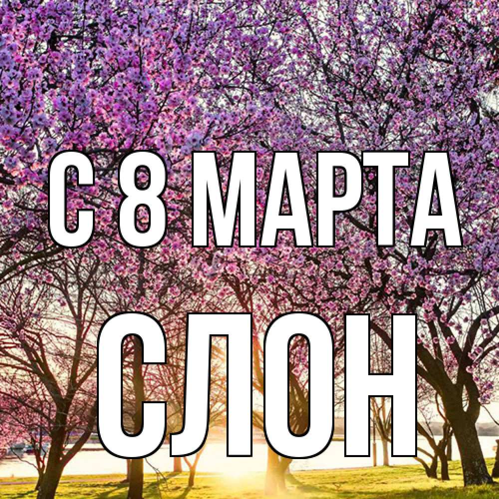 Открытка на каждый день с именем, Слон C 8 МАРТА международный женский день Прикольная открытка с пожеланием онлайн скачать бесплатно 