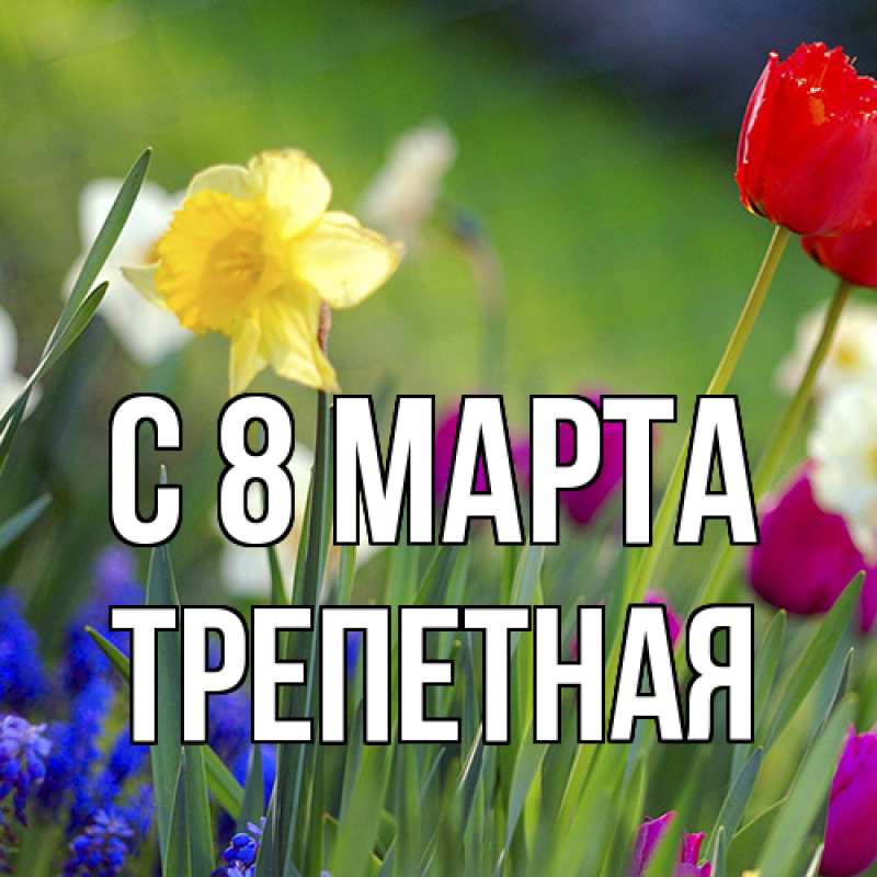 Картинка C 8 МАРТА, Тpепетная