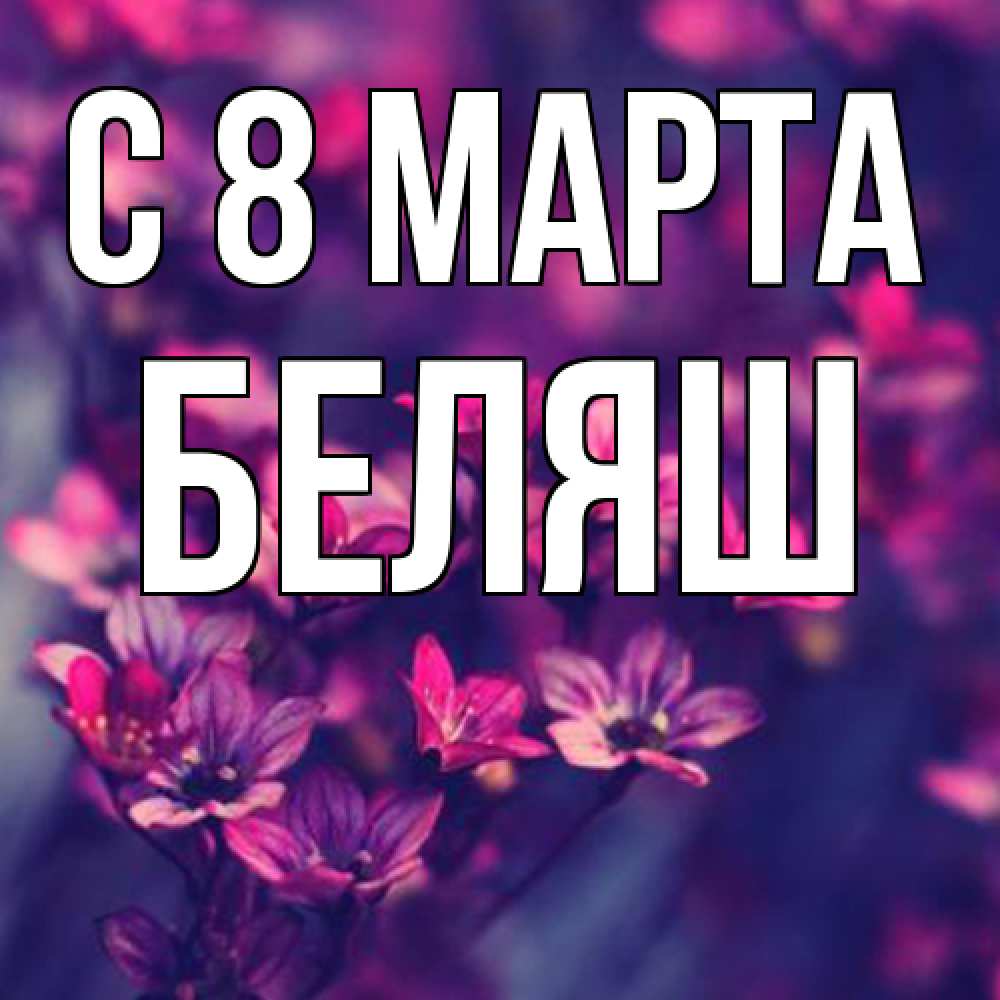 Открытка на каждый день с именем, Беляш C 8 МАРТА небольшие цветы 1 Прикольная открытка с пожеланием онлайн скачать бесплатно 