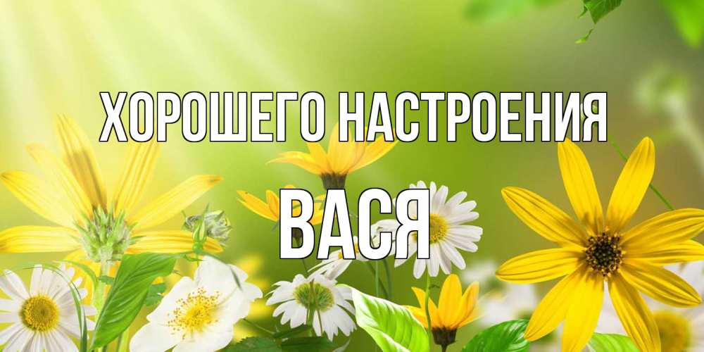 Открытка на каждый день с именем, Вася Хорошего настроения цветы Прикольная открытка с пожеланием онлайн скачать бесплатно 