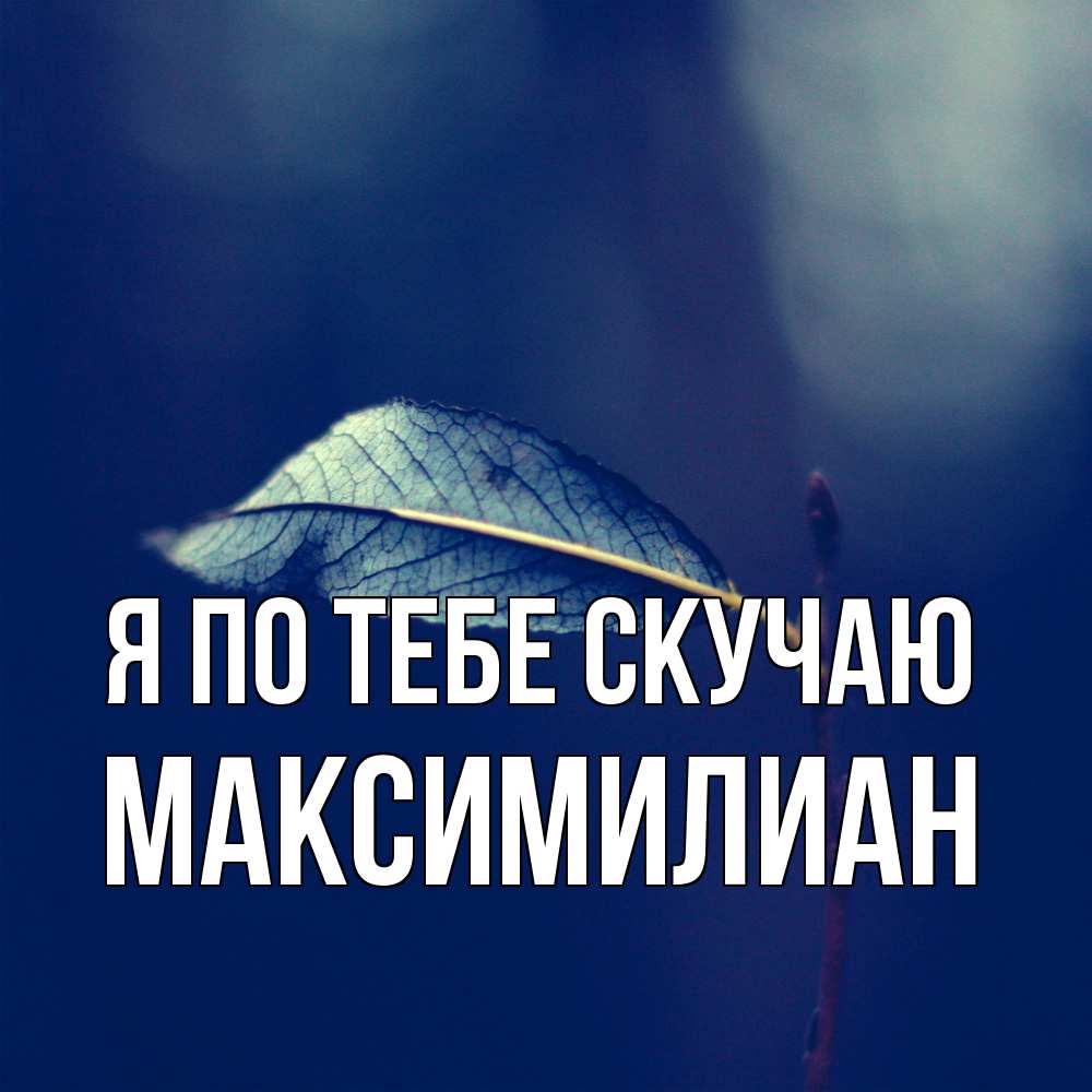 Открытка на каждый день с именем, Максимилиан Я по тебе скучаю одна ветка 1 Прикольная открытка с пожеланием онлайн скачать бесплатно 