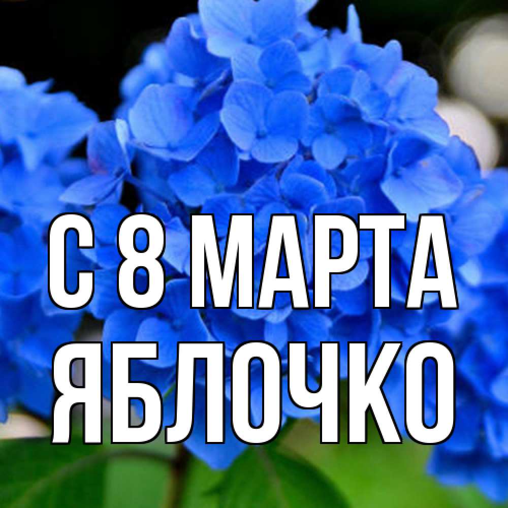 Открытка на каждый день с именем, яблочко C 8 МАРТА синие цветы Прикольная открытка с пожеланием онлайн скачать бесплатно 