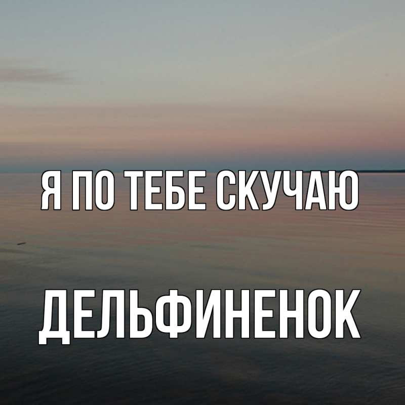 Картинка Я по тебе скучаю, дельфиненок