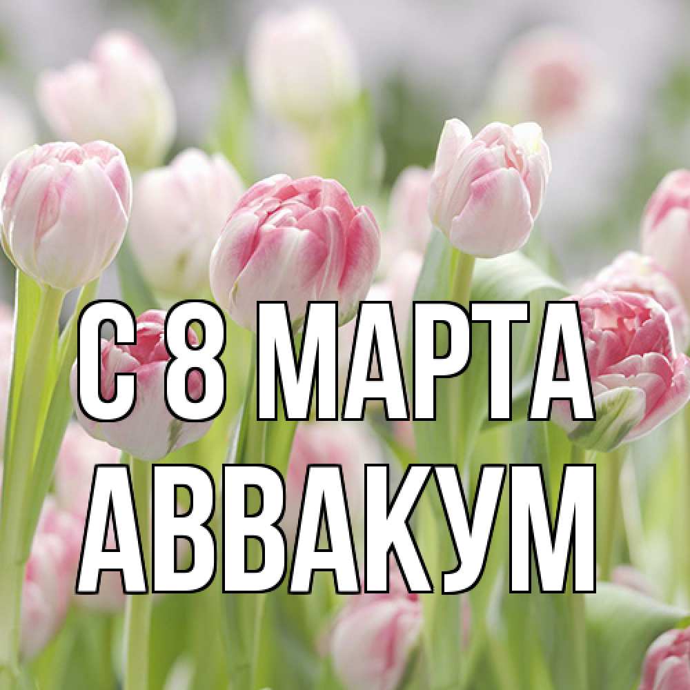 Открытка на каждый день с именем, Аввакум C 8 МАРТА цветы Прикольная открытка с пожеланием онлайн скачать бесплатно 