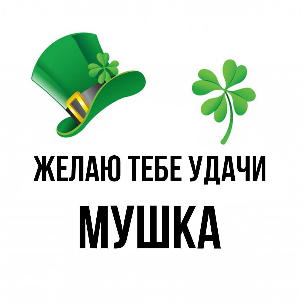 Открытка на каждый день с именем, мушка Желаю тебе удачи на удачу 1 Прикольная открытка с пожеланием онлайн скачать бесплатно 
