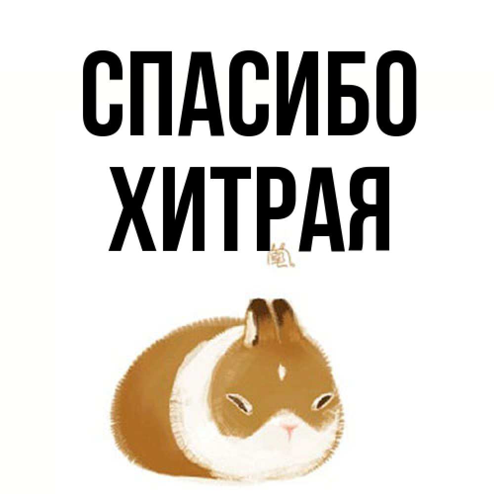 Открытка на каждый день с именем, хитрая Спасибо коричнево белый домашний питомец Прикольная открытка с пожеланием онлайн скачать бесплатно 