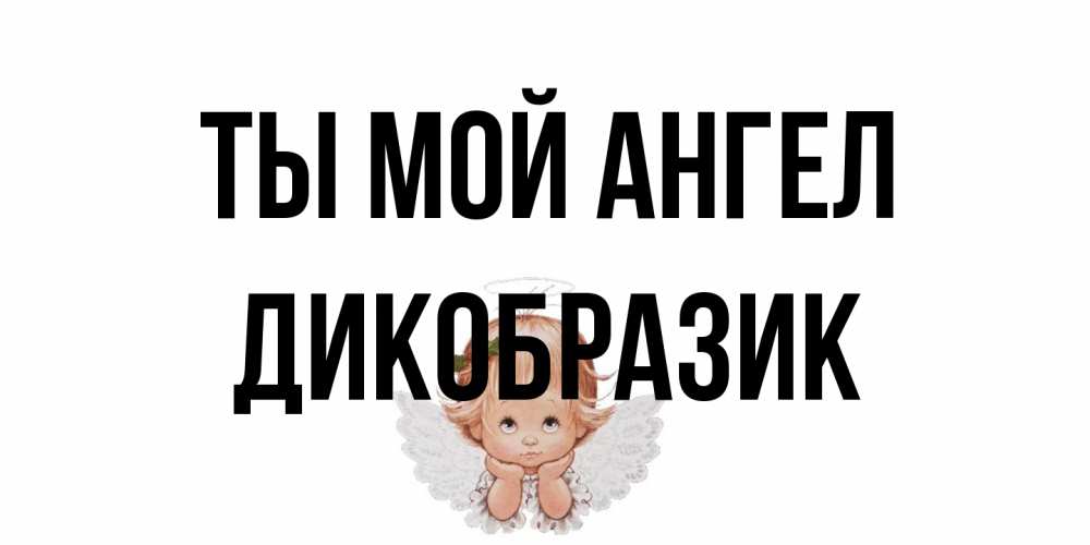 Открытка на каждый день с именем, дикобразик Ты мой ангел ангел Прикольная открытка с пожеланием онлайн скачать бесплатно 