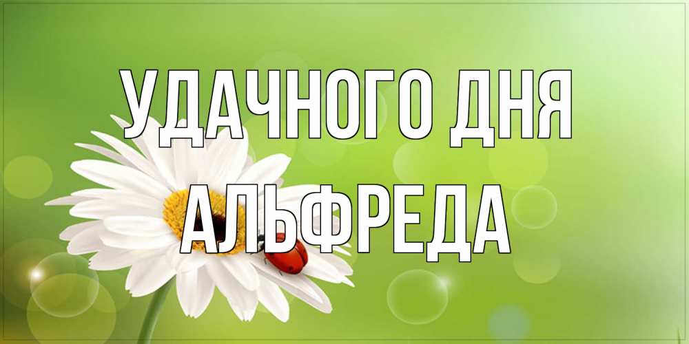 Открытка на каждый день с именем, Альфреда Удачного дня зеленый фон и ромашка Прикольная открытка с пожеланием онлайн скачать бесплатно 