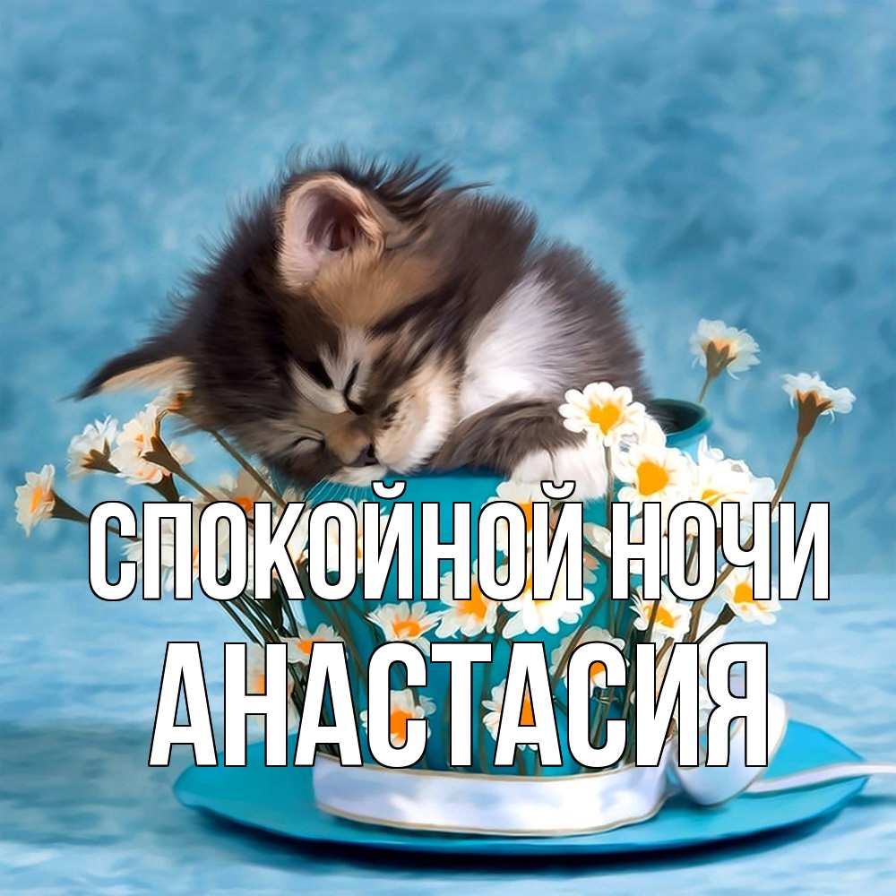 Открытка на каждый день с именем, Анастасия Спокойной ночи котенок спит в кружке с блюдцем Прикольная открытка с пожеланием онлайн скачать бесплатно 