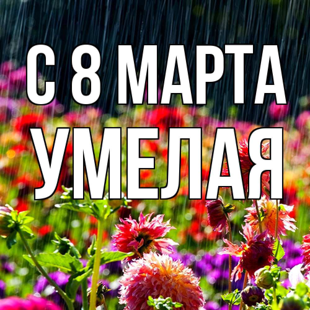Открытка на каждый день с именем, Умелая C 8 МАРТА цветы под дождиком к международному женскому дню Прикольная открытка с пожеланием онлайн скачать бесплатно 