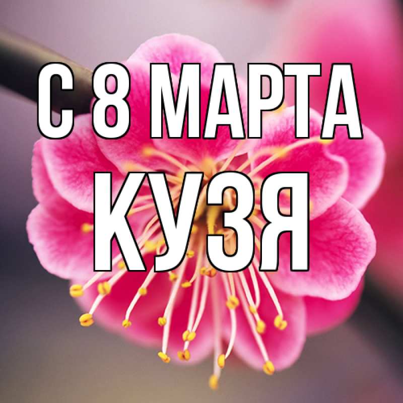 Картинка C 8 МАРТА, Кузя