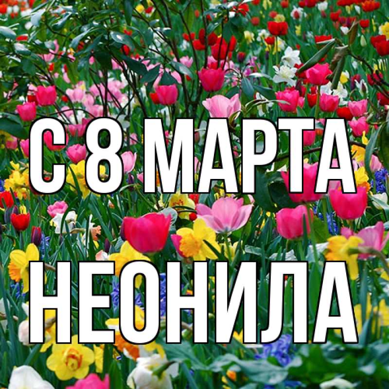 Картинка C 8 МАРТА, Неонила