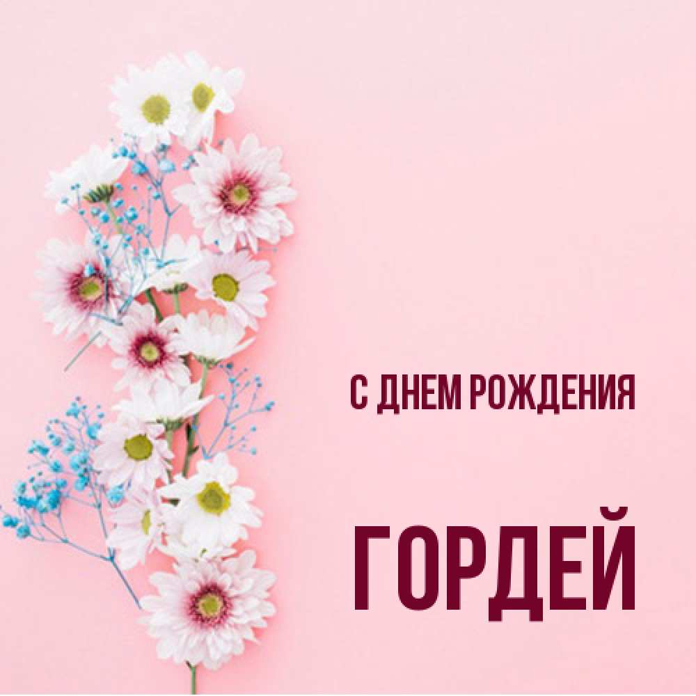Открытка на каждый день с именем, Гордей С днем рождения Родная моя с днем рождения тебя картинка с цветами белыми и голубыми Прикольная открытка с пожеланием онлайн скачать бесплатно 
