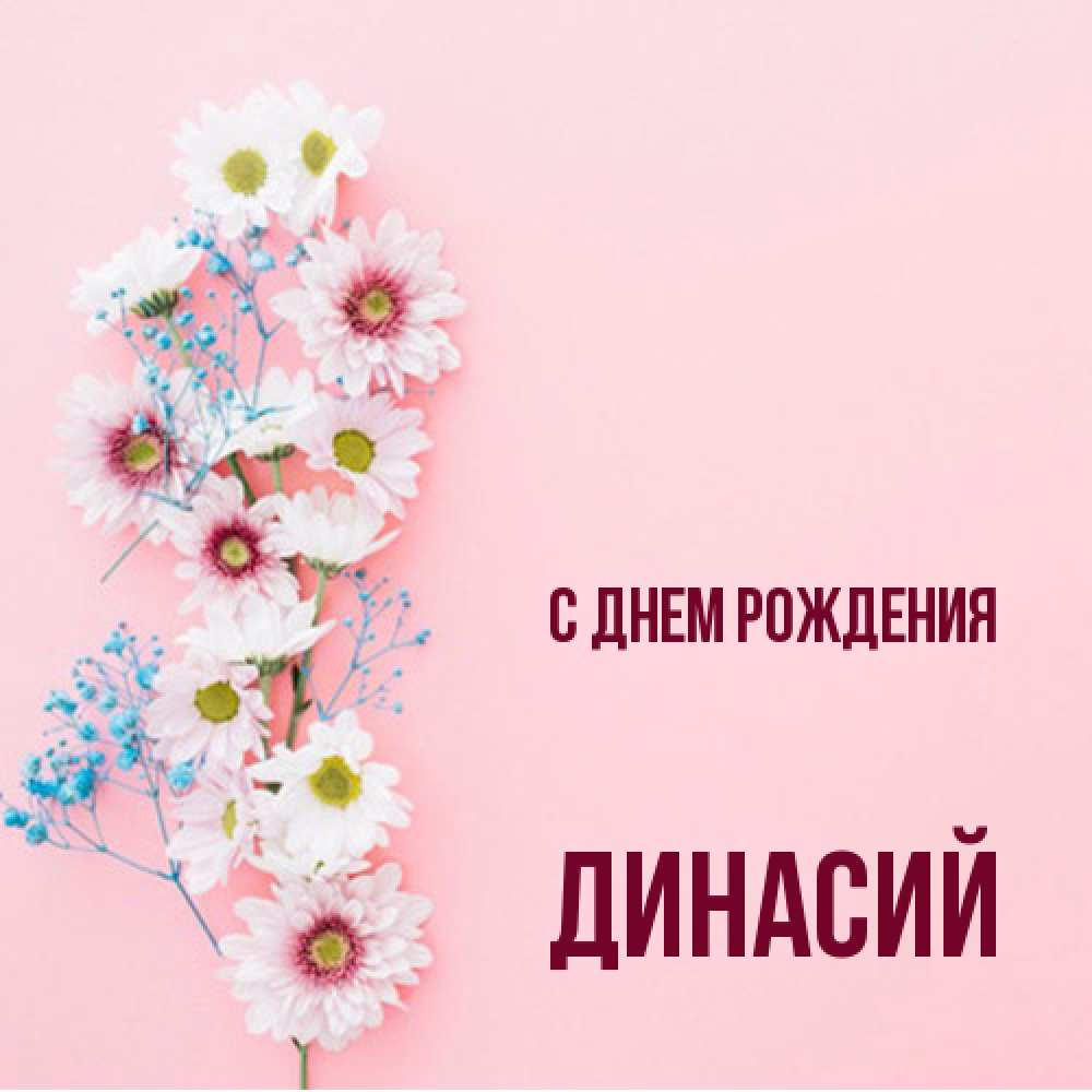 Открытка на каждый день с именем, Динасий С днем рождения Родная моя с днем рождения тебя картинка с цветами белыми и голубыми Прикольная открытка с пожеланием онлайн скачать бесплатно 