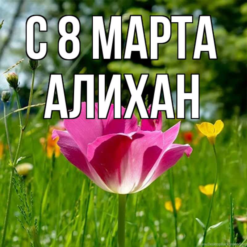 Картинка C 8 МАРТА, Алихан