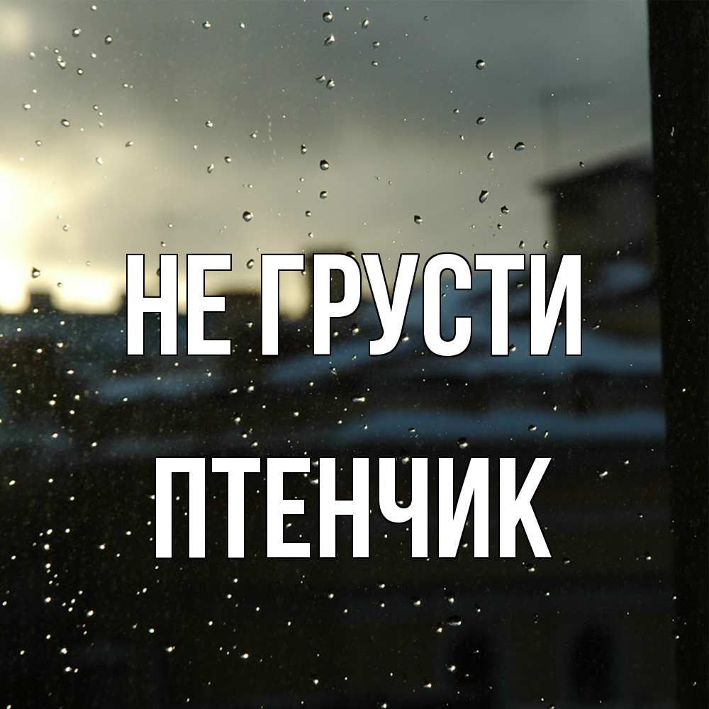 Открытка на каждый день с именем, Птенчик Не грусти вид на крыши Прикольная открытка с пожеланием онлайн скачать бесплатно 