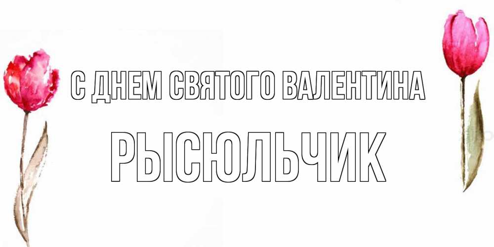 Открытка на каждый день с именем, Рысюльчик С днем Святого Валентина Открытки на день всех влюбленных с тюльпанами акварелью Прикольная открытка с пожеланием онлайн скачать бесплатно 