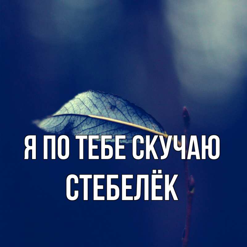 Картинка Я по тебе скучаю, Стебелёк