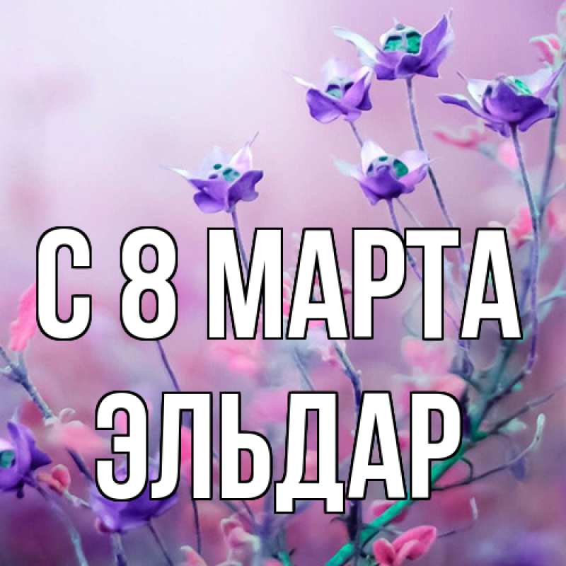 Картинка C 8 МАРТА, Эльдар