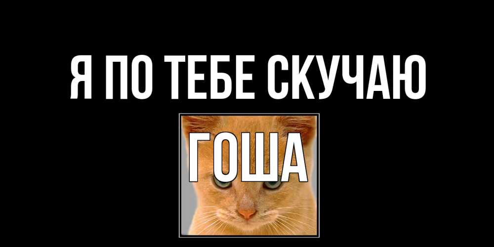 Открытка на каждый день с именем, Гоша Я по тебе скучаю открытки рыжий котенок скучает по тебе Прикольная открытка с пожеланием онлайн скачать бесплатно 