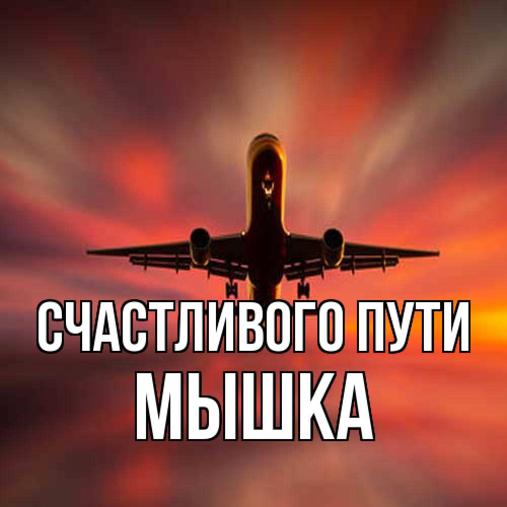 Открытка на каждый день с именем, Мышка Счастливого пути самолет набирает высоту Прикольная открытка с пожеланием онлайн скачать бесплатно 