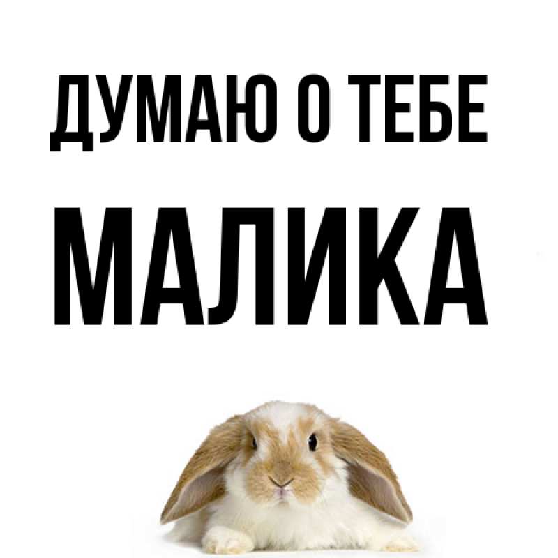 Картинка Думаю о тебе, Малика