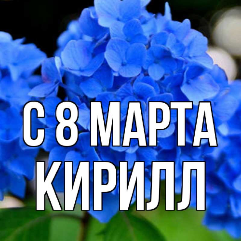 Картинка C 8 МАРТА, Кирилл