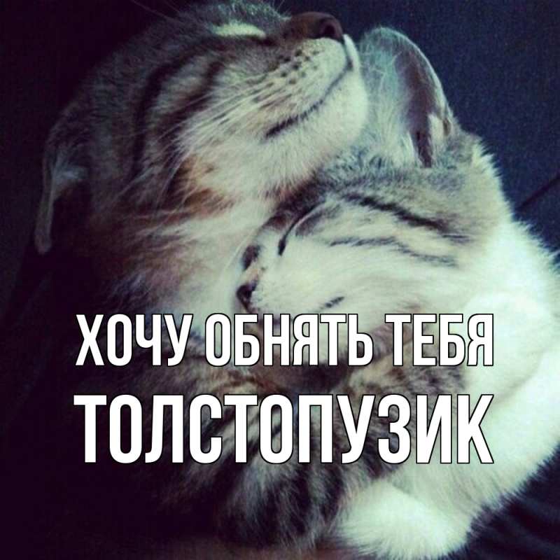 Картинка Хочу обнять тебя, Толстопузик