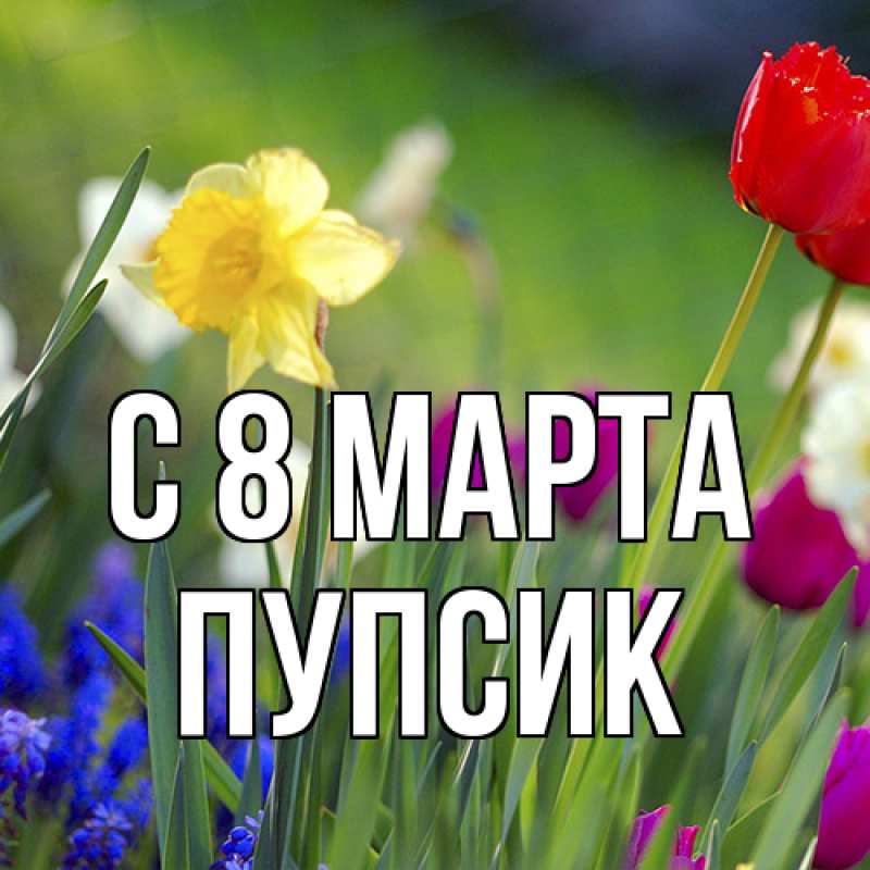 Картинка C 8 МАРТА, пупсик