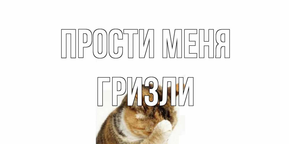 Открытка на каждый день с именем, Гризли Прости меня кот Прикольная открытка с пожеланием онлайн скачать бесплатно 