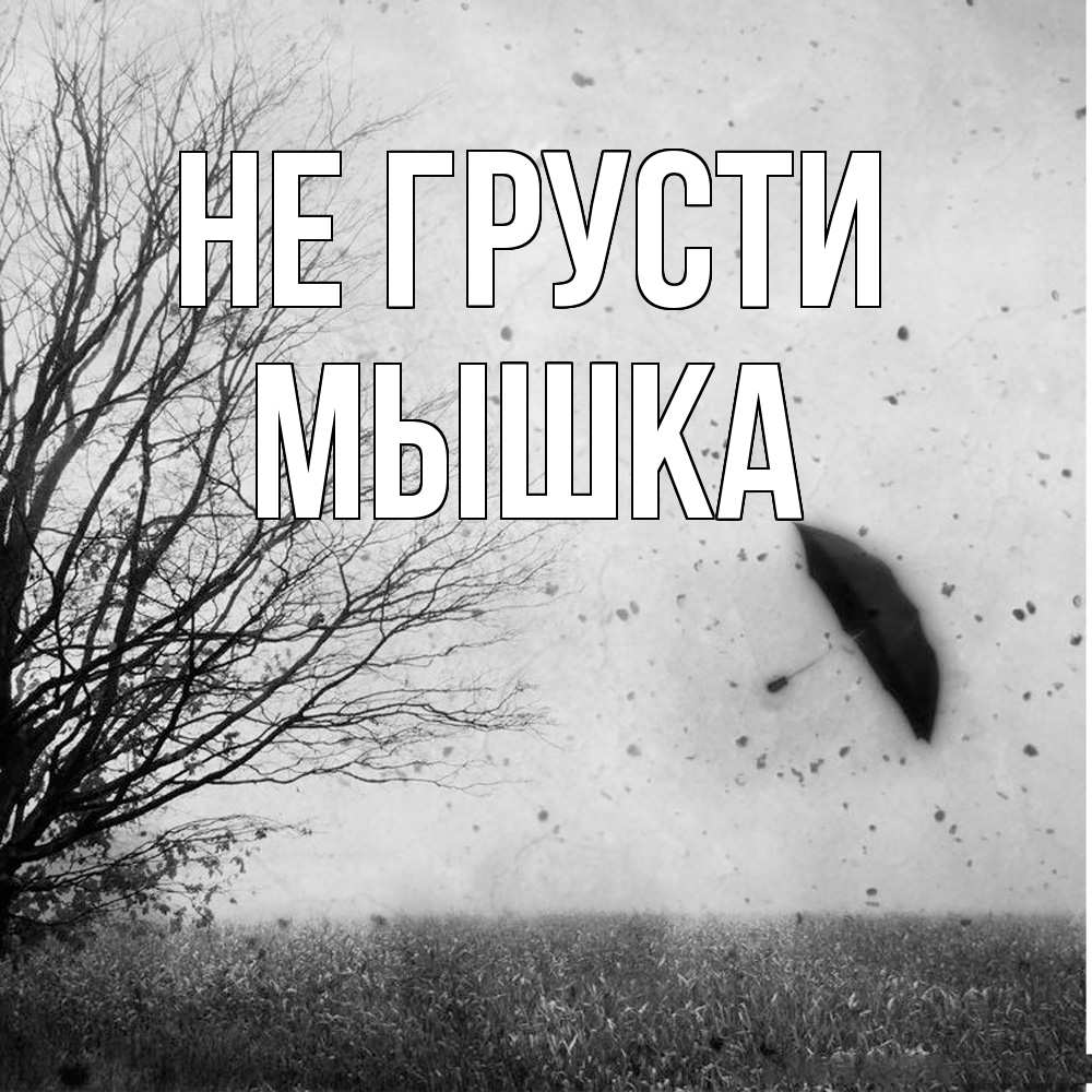 Открытка на каждый день с именем, Мышка Не грусти летящий зонтик Прикольная открытка с пожеланием онлайн скачать бесплатно 