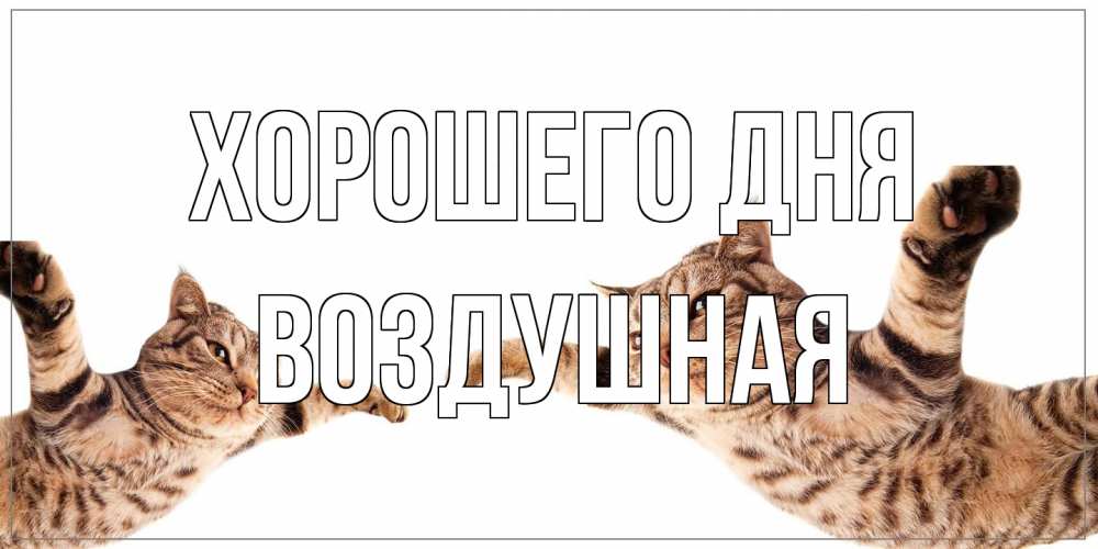 Открытка на каждый день с именем, воздушная Хорошего дня хорошего дня Прикольная открытка с пожеланием онлайн скачать бесплатно 