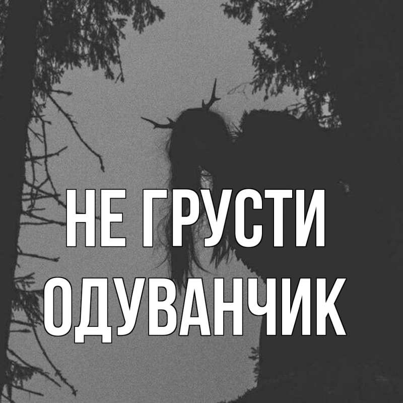 Картинка Не грусти, Одуванчик