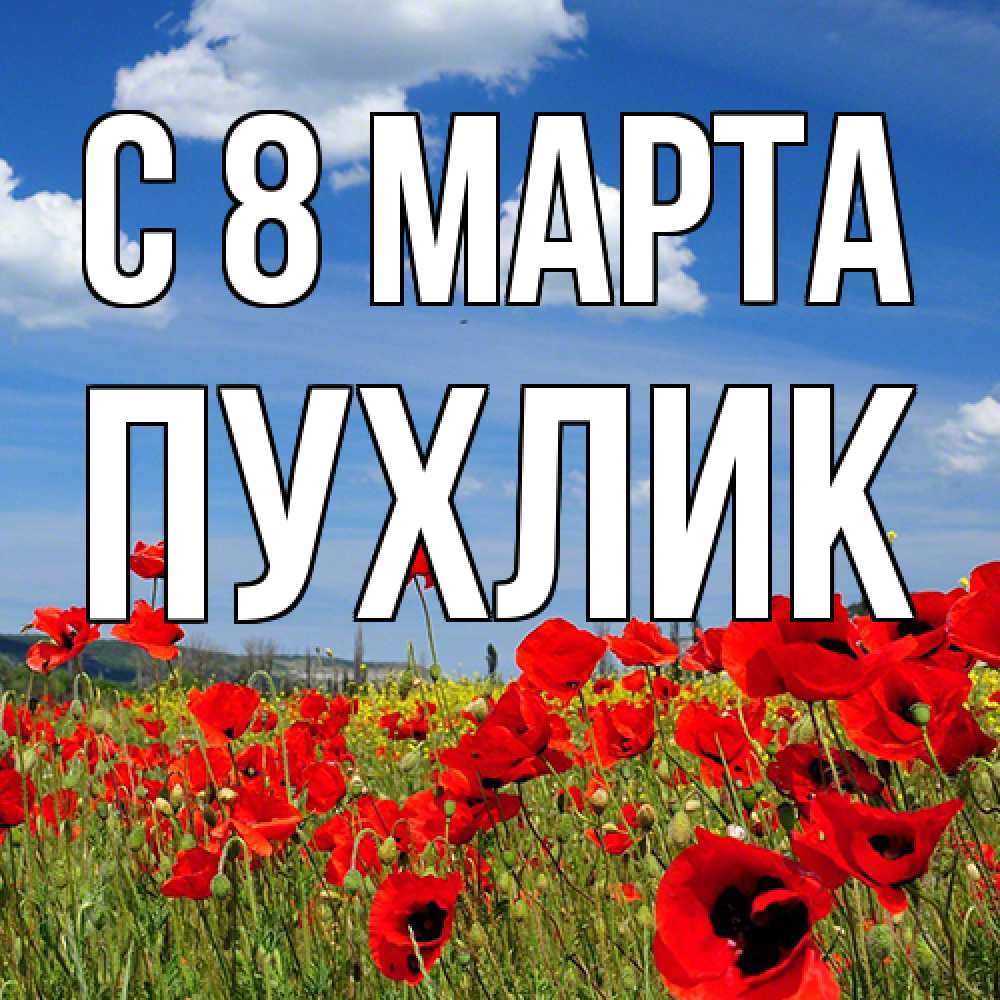 Открытка на каждый день с именем, пухлик C 8 МАРТА международный женский день 1 Прикольная открытка с пожеланием онлайн скачать бесплатно 