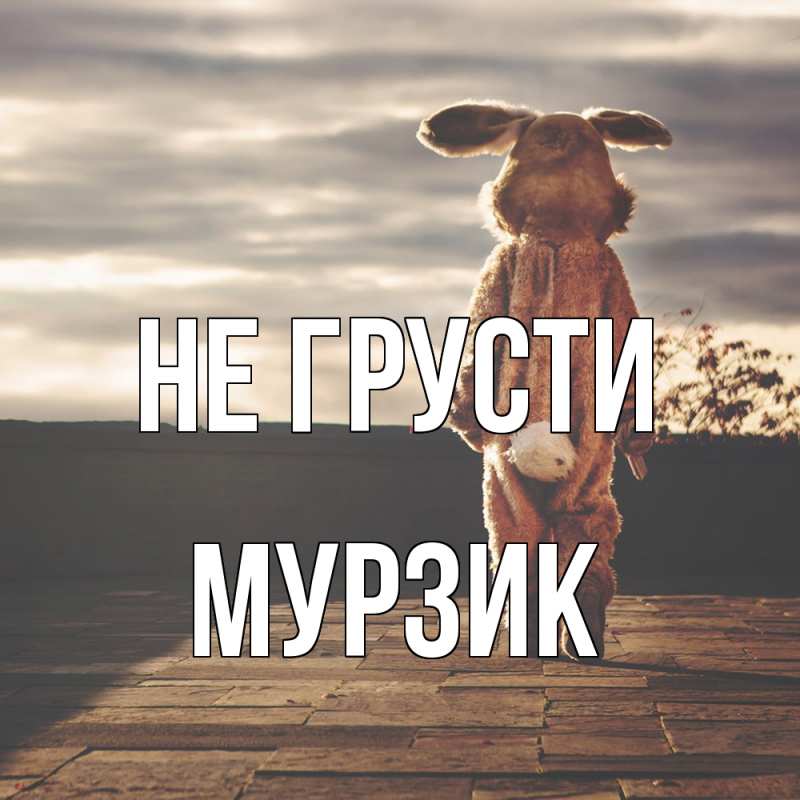 Картинка Не грусти, Мурзик