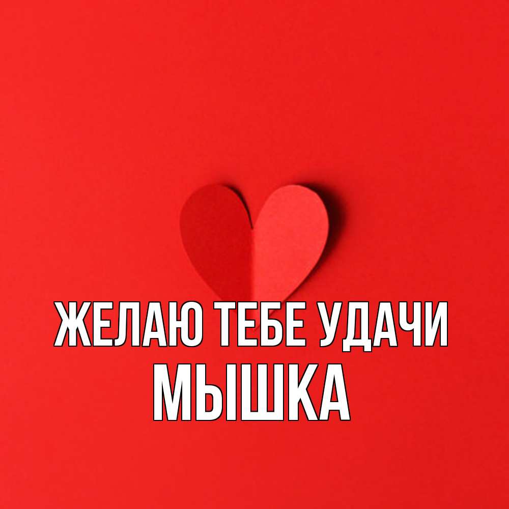Открытка на каждый день с именем, Мышка Желаю тебе удачи пусть повезет для любимых 1 Прикольная открытка с пожеланием онлайн скачать бесплатно 