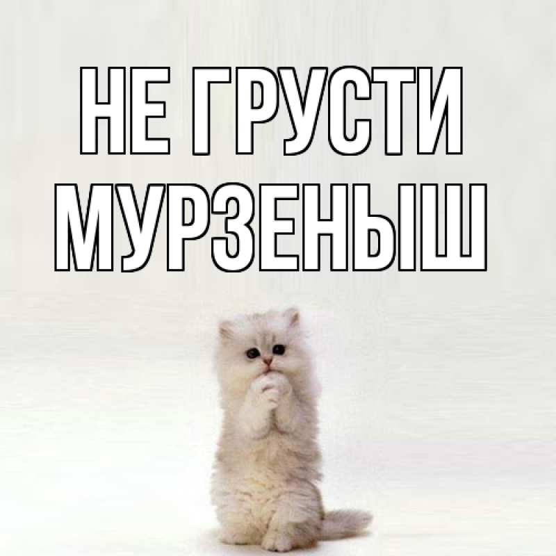 Картинка Не грусти, мурзеныш