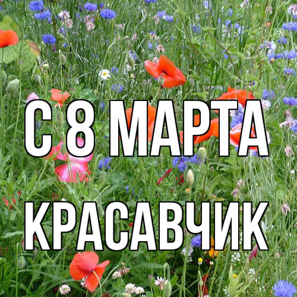 Открытка на каждый день с именем, Красавчик C 8 МАРТА международный женский день 4 Прикольная открытка с пожеланием онлайн скачать бесплатно 