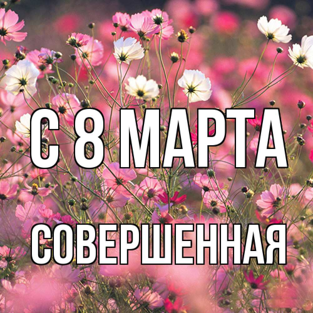 Открытка на каждый день с именем, Совершенная C 8 МАРТА красиво 1 Прикольная открытка с пожеланием онлайн скачать бесплатно 